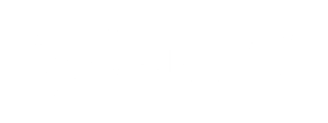 Wanco Logo White Variant
