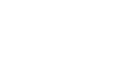 Texas DIR Logo