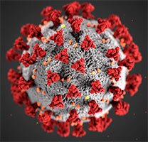 Coronavirus - Covid 19 Graphic