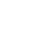 Disaster Icon