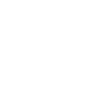 Incident Management Icon