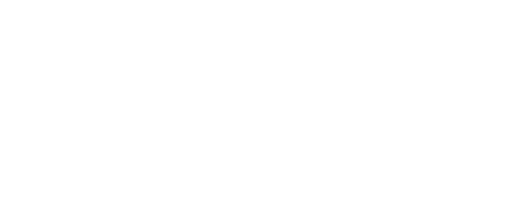 Public Promise Procurement by NACo logo