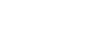 American Defense Solutions logo - white