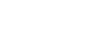 Linev Systems Logo - White