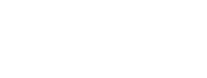 SkySafe logo - white