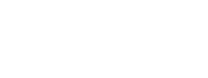 Triton Sensors Logo White