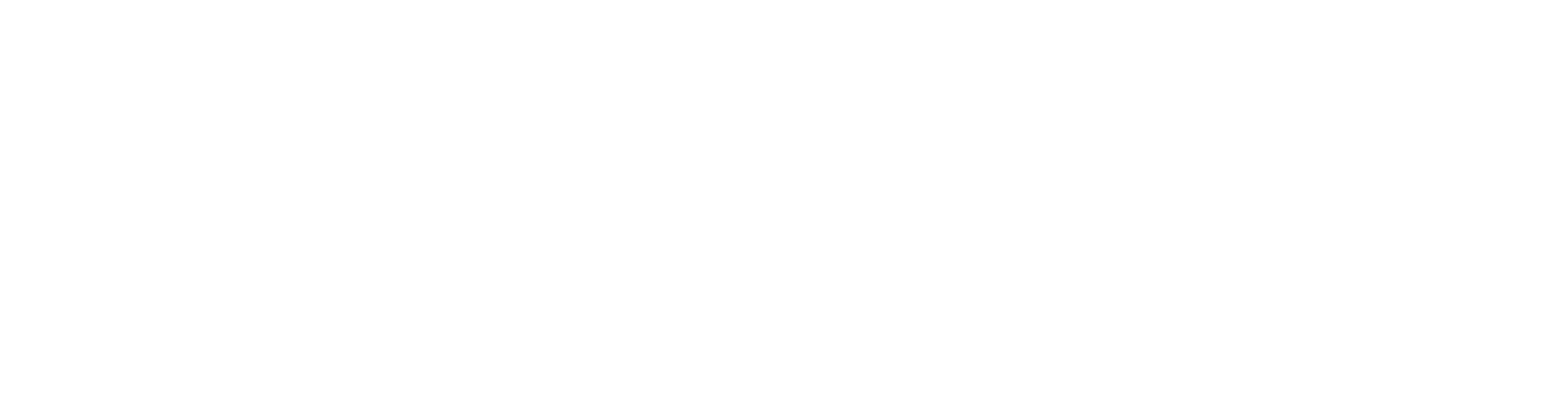 D-Fend Solutions Logo White