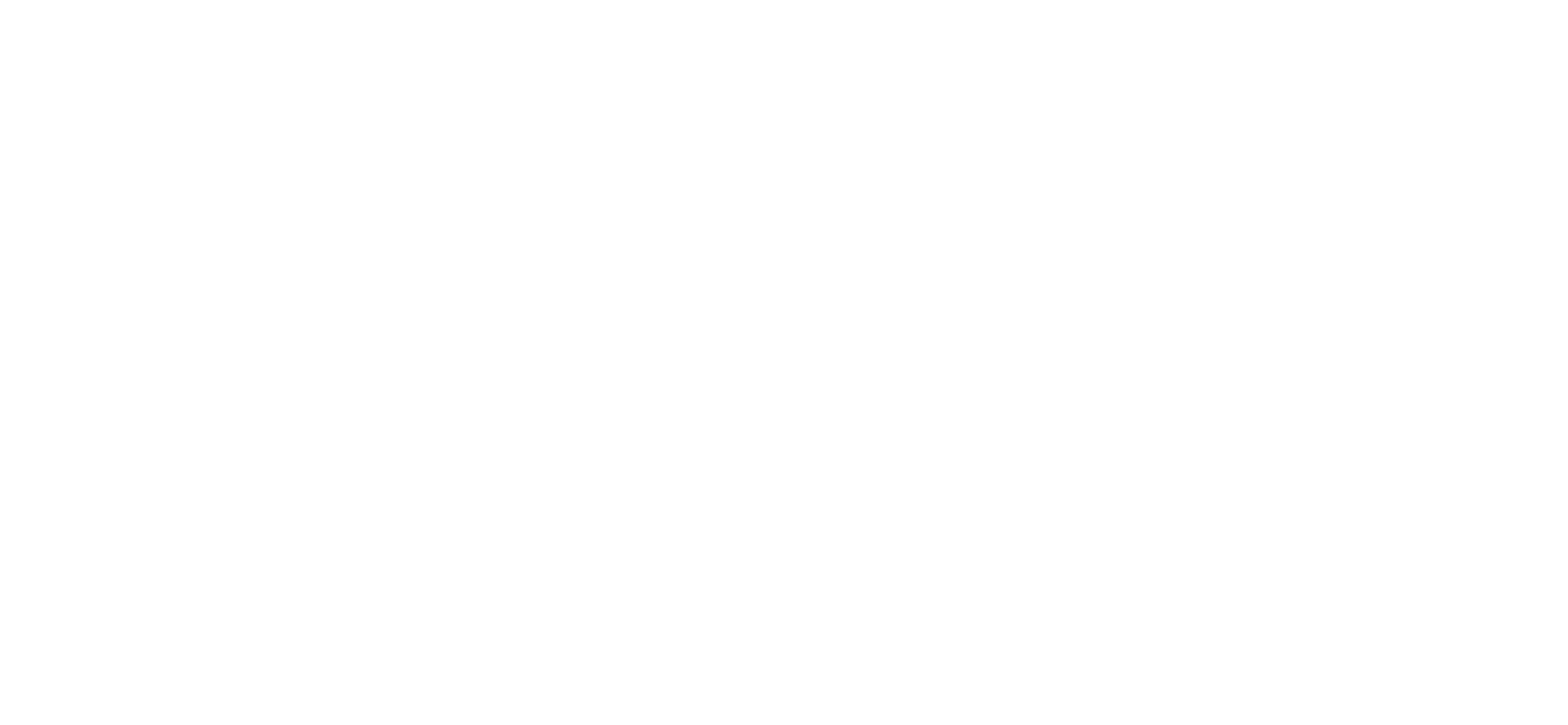 LiveView Technologies (LVT) Logo