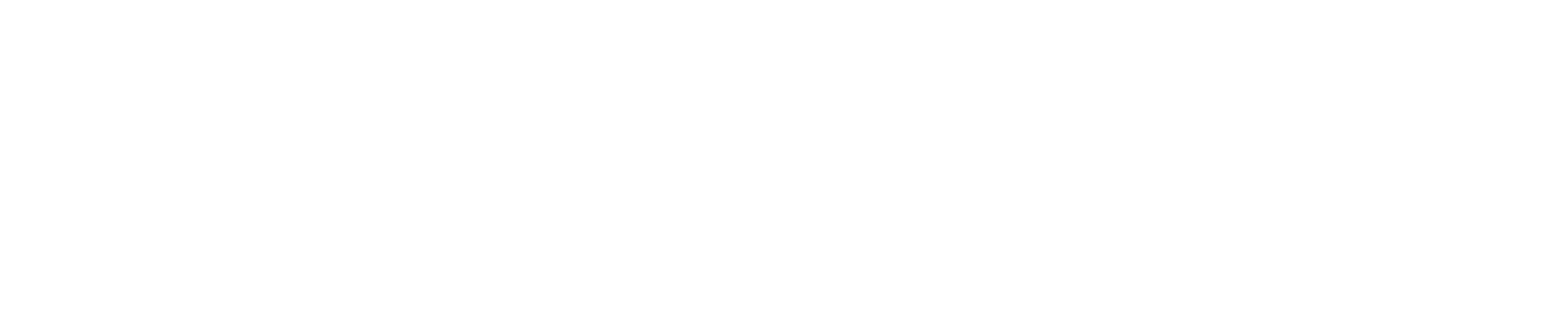 NRS Logo White