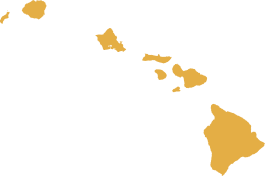 State of Hawaii Silhouette
