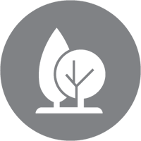 Arborist Icon