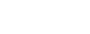 Skydio Logo