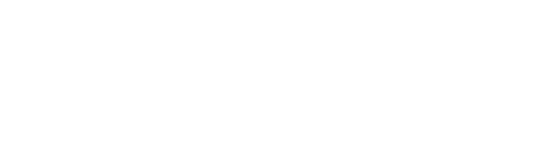 Ansell Logo White Variant
