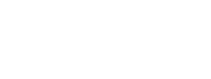 Linev Systems Logo - White