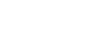 SkySafe logo - white