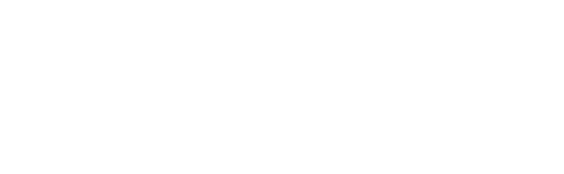 Ansell Logo White Variant