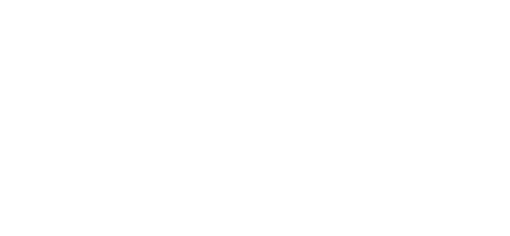 LiveView Technologies (LVT) Logo