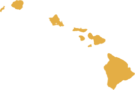 State of Hawaii Silhouette