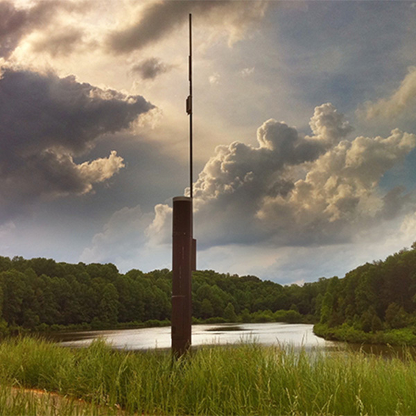 rain gauge sensor in marsh