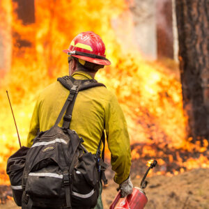 Wildfire responser looking at a wall of flames in the forest.